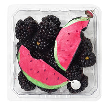 Load image into Gallery viewer, Fly Watermelon Leather Earrings
